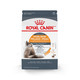 Royal Canin Feline Care Nutrition Hair & Skin Care Adult Dry Cat Food 6 Lb