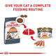 Royal Canin Feline Care Nutrition Hair & Skin Care Adult Dry Cat Food 6 Lb