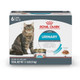 Royal Canin Feline Care Nutrition Urinary Care Adult Thin Slices In Gravy Cat 3 Oz Pack Of 6