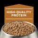 Pro Plan Veterinary Diets Purina Nf Kidney Function Canine Formula Wet Dog Food (Pack Of 13.3 Oz Pack Of 12