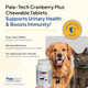 Pala Tech Cat & Dog Uti Treatment Cranberry Supplement For Dogs&Cats Tablets For 60 Chewable