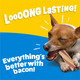 Purina Busy With Beggin' Twist'd Tiny Adult Dog Chew Bone Treats (Pack Of 10 Ct Pack Of 6
