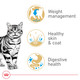 Royal Canin Feline Breed Nutrition American Shorthair Adult Dry Cat Food Bag 5.5 Lb