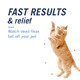 Petarmor Capaction (Nitenpyram) Oral Flea Treatment For Cats Cat Flea Treatment Pill 225 Lbs