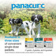 Panacur C Canine Dewormer (Fenbendazole) Yellow (Pack Of 1 1 Gram 3 Count