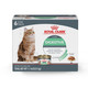 Royal Canin Feline Care Nutrition Digestive Care Adult Thin Slices In Gravy Cat 3 Oz Pack Of 6