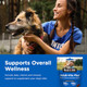 NutriVet NutriVet AdultVite Plus Dog Multivitamin Soft Chews Daily Dog Supplement With 70 Count
