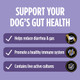Pro Plan Veterinary Diets Purina Pro Plan Veterinary Supplements Fortiflora Daily Probiotics For Dogs Helps 30 Ct