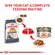 Royal Canin Feline Care Nutrition Hair & Skin Care Adult Thin Slices In 3 Oz Pack Of 12