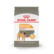 Royal Canin Canine Care Nutrition Medium Sensitive Skin Care Adult Dry Dog Food 17 Lb