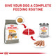 Royal Canin Canine Care Nutrition Medium Sensitive Skin Care Adult Dry Dog Food 17 Lb