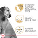 Royal Canin Canine Health Nutrition Mature Mature In Gel Dog Food (Pack Of 13.5 Oz Pack Of 12