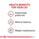 Royal Canin Feline Health Nutrition Adult Instinctive Adult Loaf In Sauce Cat Food 3 Oz Pack Of 24