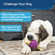 Petsafe Busy Buddy Bouncy Bone Treat Holding Dog Toy Medium/Large Best For 5090 Lb