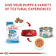 Royal Canin Size Health Nutrition Small Puppy Thin Slices In Gravy Dog Food 5.1 Oz Pack Of 24