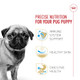 Royal Canin Breed Health Nutrition Pug Puppy Dry Dog Food Bag 2.5 Lb
