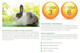 Supreme Petfoods Selective Naturals Garden Sticks Pea & Mint For Rabbits 2.1Ounce
