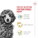 Royal Canin Breed Health Nutrition Poodle Puppy Dry Dog Food Bag 2.5 Lb