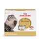 Royal Canin Feline Breed Nutrition Persian Adult Loaf In Sauce Cat Food (Pack 3 Oz Pack Of 6