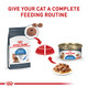 Royal Canin Feline Care Nutrition Weight Care Adult Thin Slices In Gravy Cat 3 Oz Pack Of 24