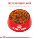 Royal Canin Size Health Nutrition Medium Puppy Dry Dog Food Bag 4 Lb