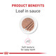 Royal Canin Feline Health Nutrition Kitten Loaf In Sauce Cat Food (Pack Of 5.1 Oz Pack Of 24