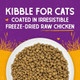 Stella & Chewy's Raw Coated Cat Food High Protein GrainFree Kibble With CageFree Chicken 10 Lb