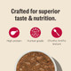 The Honest Kitchen Human Grade Grain Minced Turkey Chicken & Duck In Bone 2.8 Oz