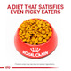 Royal Canin Veterinary Diet Canine Small Hydrolyzed Protein Adult Dry Dog Food Bag 8.8 Lb