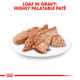 Royal Canin Breed Health Nutrition Dachshund Adult Loaf In Sauce Dog Food (Pack 3 Oz Pack Of 6