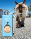 Smolotov Premium Pet Poop Bags For Cats & Dogs Unscented Leakproof Reversible 60 Count