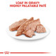 Royal Canin Breed Health Nutrition Shih Tzu Adult Loaf In Sauce Dog Food 3 Oz Pack Of 24