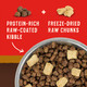 Stella & Chewy's Wild Red Raw Blend Kibble Premium FreezeDried Raw Coated Dog Food 21Lb - 2