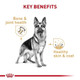 Royal Canin Breed Health Nutrition German Shepherd Adult Loaf In Sauce Dog Food 13.5 Oz Pack Of 12