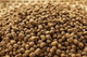 Southern States Nature's Canvas Catfish Feed Big Strike 32% Protein Floating Fish Food 40 Pounds