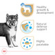 Royal Canin Canine Health Nutrition Puppy Canned Dog Food (Pack Of 12 13.5 Oz Pack Of 12