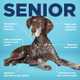 Vetericyn AllIn 1 Multifunctional Senior Dog Supplement With Glucosamine And Foamcare SprayOn