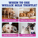 Wellix Milk Thistle For Cats & Dogs Advanced Formula With Astaxanthin For 120Ml