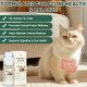 Yakucho Lvermect For Cat Dewomax Liquid Digestive Support Broad Spectrum Gut Balance 3.5 Oz