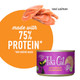 Tiki Pets Cat Luau Wet Cat Food Wild Salmon . Cans 6 Oz 8 Count