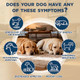 Yakucho Lvermect For Dogs Dewomax Liquid Digestive Support Broad Spectrum Formula For 3.5 Oz