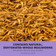 Zilla Reptile Munchies Mealworms AllNatural Dehydrated Mealworms Ideal For Bearded Dragons Leopard