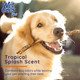 Wet Ones For Pets Antibacterial Heavy Duty Dog Paw Wipes With Tropical Splash 50 Count