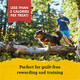 Zuke's Mini Naturals Dog Training Treats Beef Recipe Soft Mini Dog Treats 16 Ounce Pack Of 2