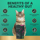 Vetriscience Gut Health Chews Probiotic Everyday Digestive Supplement For Cats Pet Probiotics 60 Count