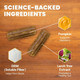 Vetriscience Scoot Control Chews Express Ease Fiber Supplement For Dogs Pumpkin And 40 Count