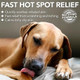 Vet's Best Dog Hot Spot Itch Relief Spray For Dogs Dog Hot Spot 16 Oz