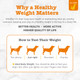 Zesty Paws Weight Management Bites For Dogs Veterinarian Formulated Metabolism & Appetite Control 90 Count