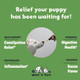Woof 'n' Purr Constipation Relief For Dogs Dog Constipation Relief Dog Constipation Dog Laxative 1 Fl Oz