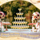 Zopeal Plastic Martini Glasses Plastic Coupe Disposable Cocktail Cup For Wedding Party 5 Oz 100 Pcs